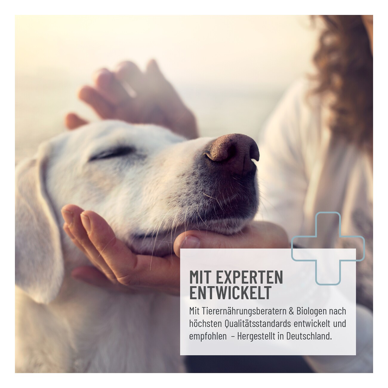 REAVET MoroVET Instant 300g