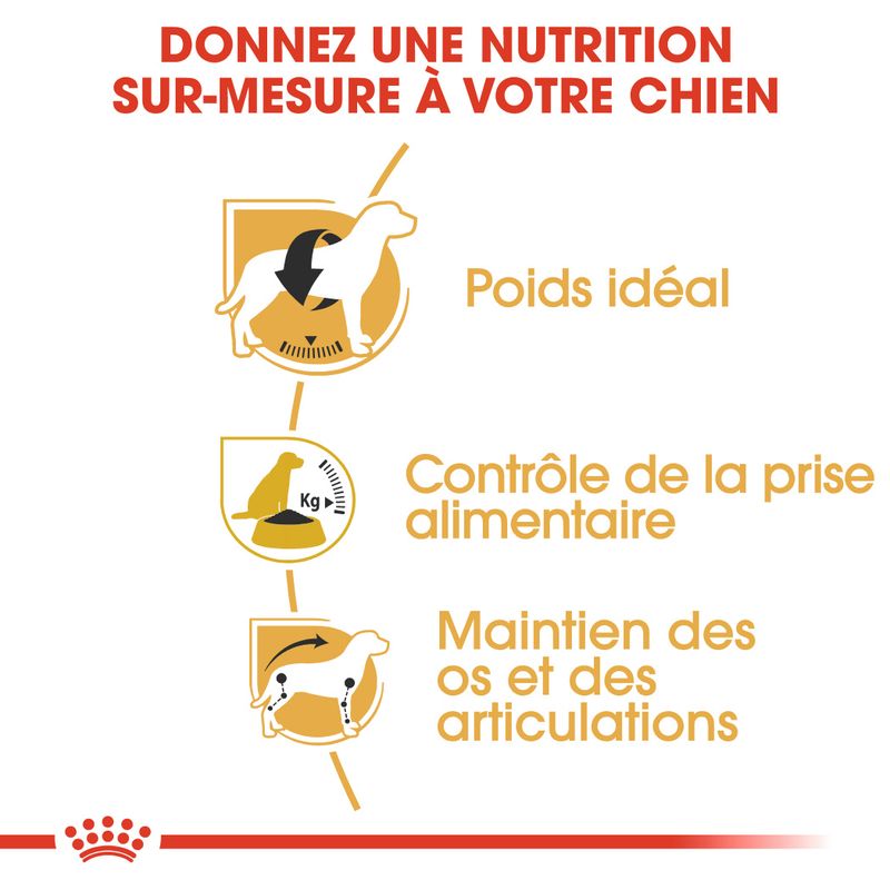 Royal Canin Beagle Adult à prix discount sur bitiba.fr