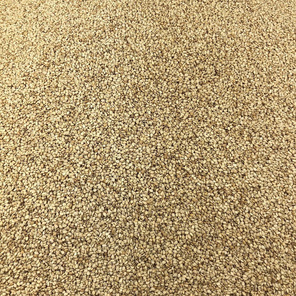 Graines de Sésame Bio en Vrac 10kg Vrac Bio