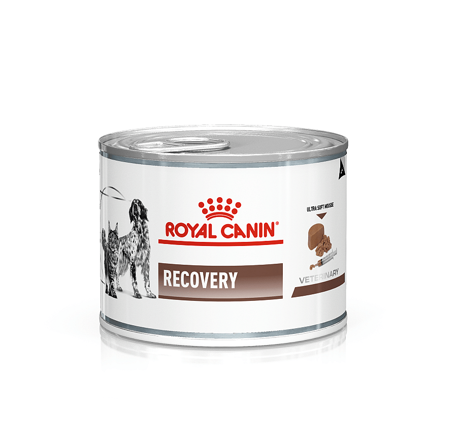 Royal Canin Hond Recovery 12 x blik 195 gram Dieetvoeding ter ondersteuning van de spijsvertering van volwassen honden