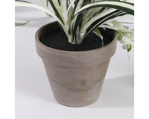 Kunstspinnenplant Chlorophytum Ø 45 H 30 cm groen