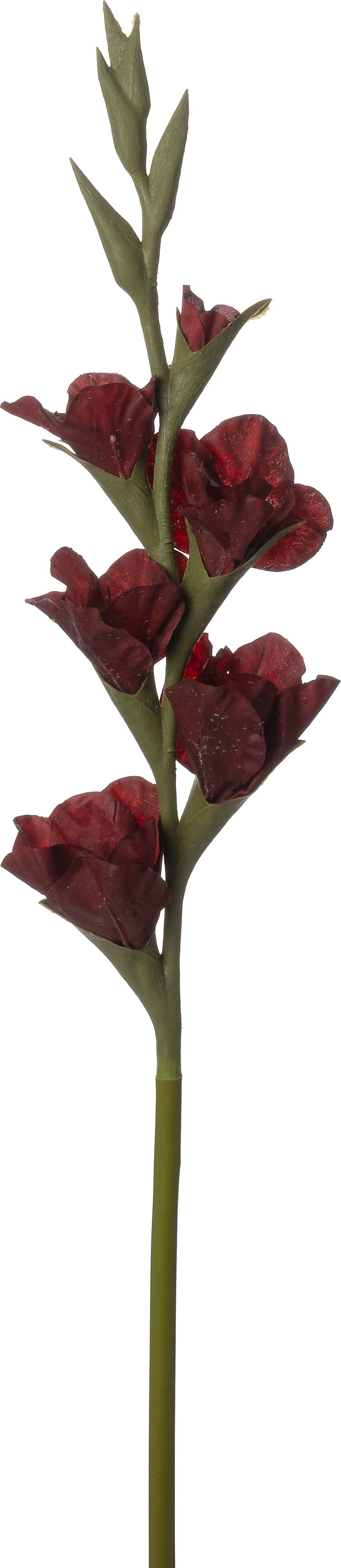 Intratuin kunstbloem Gladiool rood 86 cm