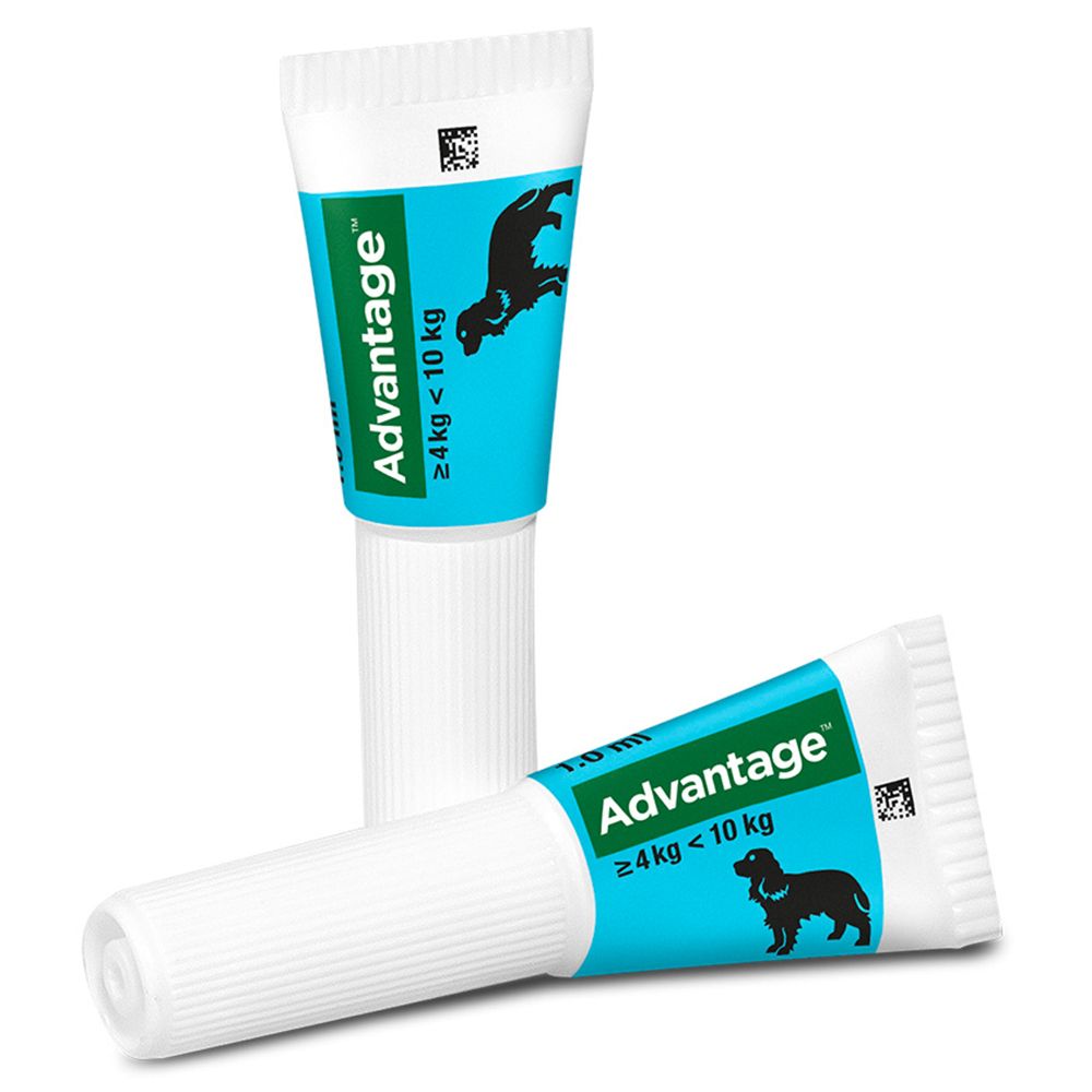 Advantage® 100 mg Spot-On für Hunde 4 - 10 kg
