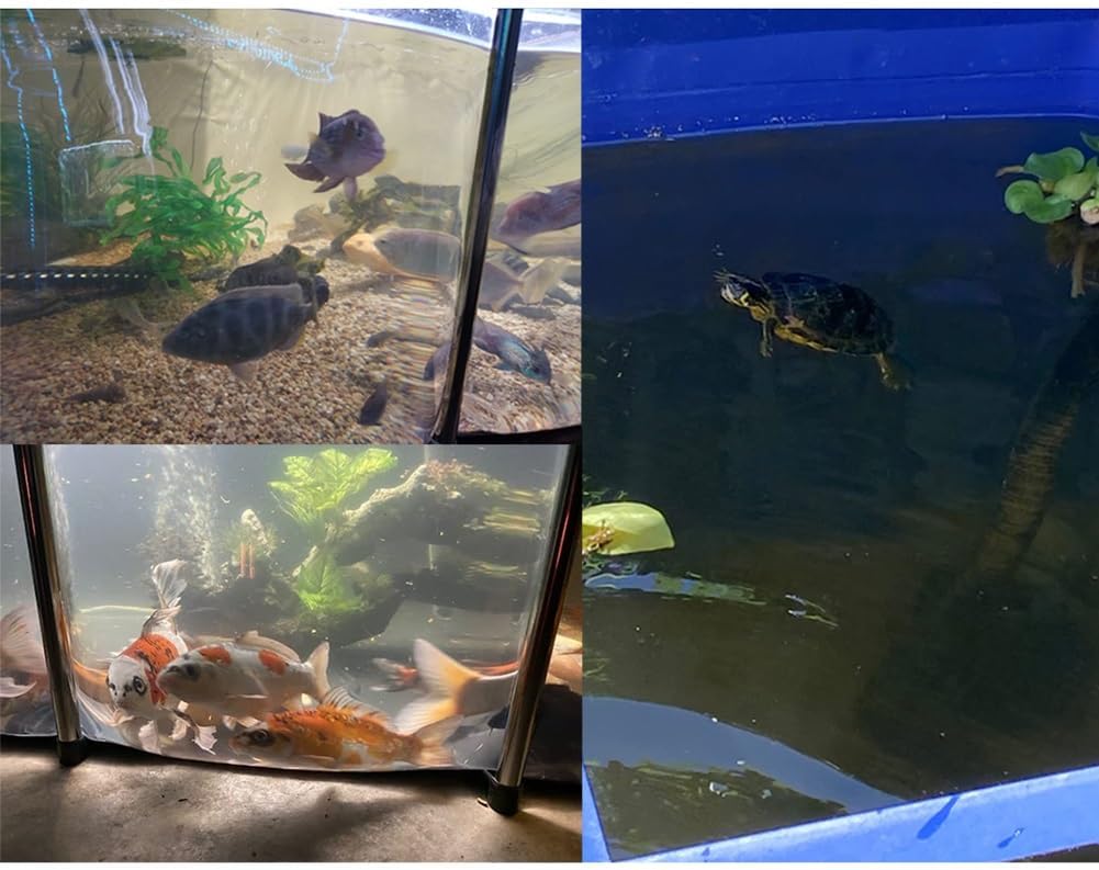 Großer Fischteich für die Koi-Zucht, oberirdisches Aquariumbecken mit transparentem Fenster und Stahlrahmen, einfach aufzustellender Wassertank (200 x 100 x 71 cm)