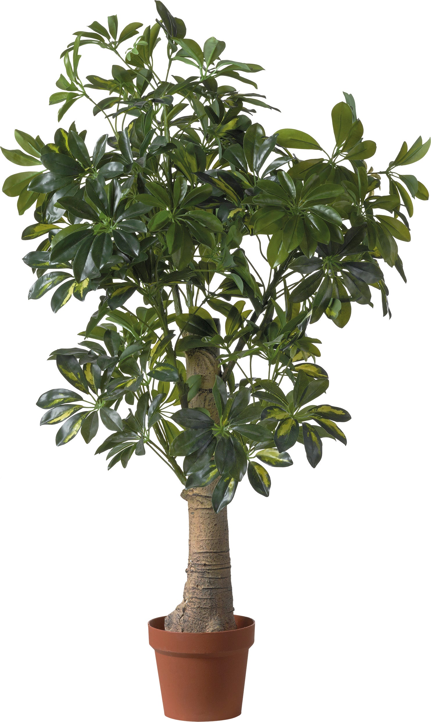 Intratuin kunstplant Schefflera H 120 cm