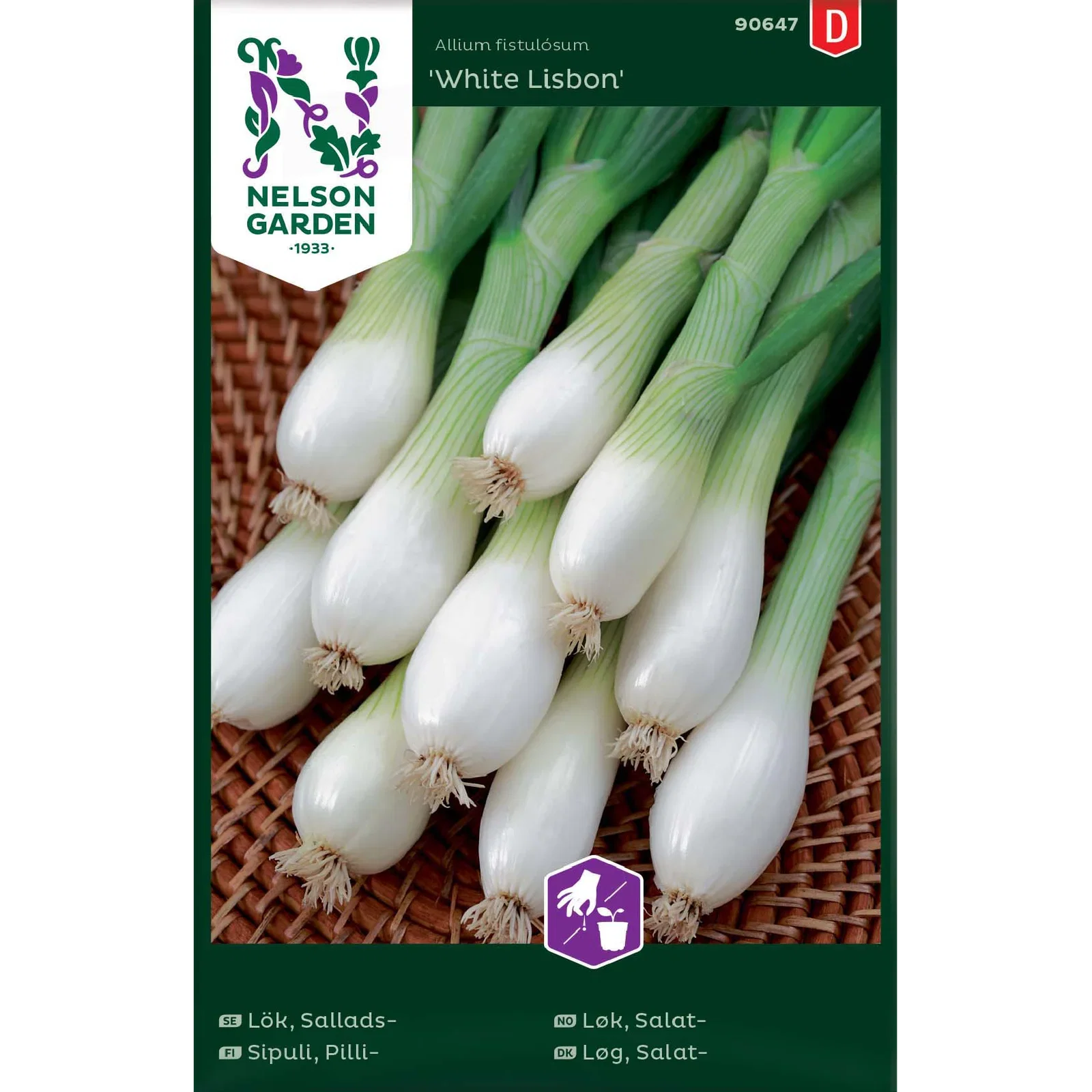 Allium cepa 'White Lisbon' Salatløk 'White Lisbon'