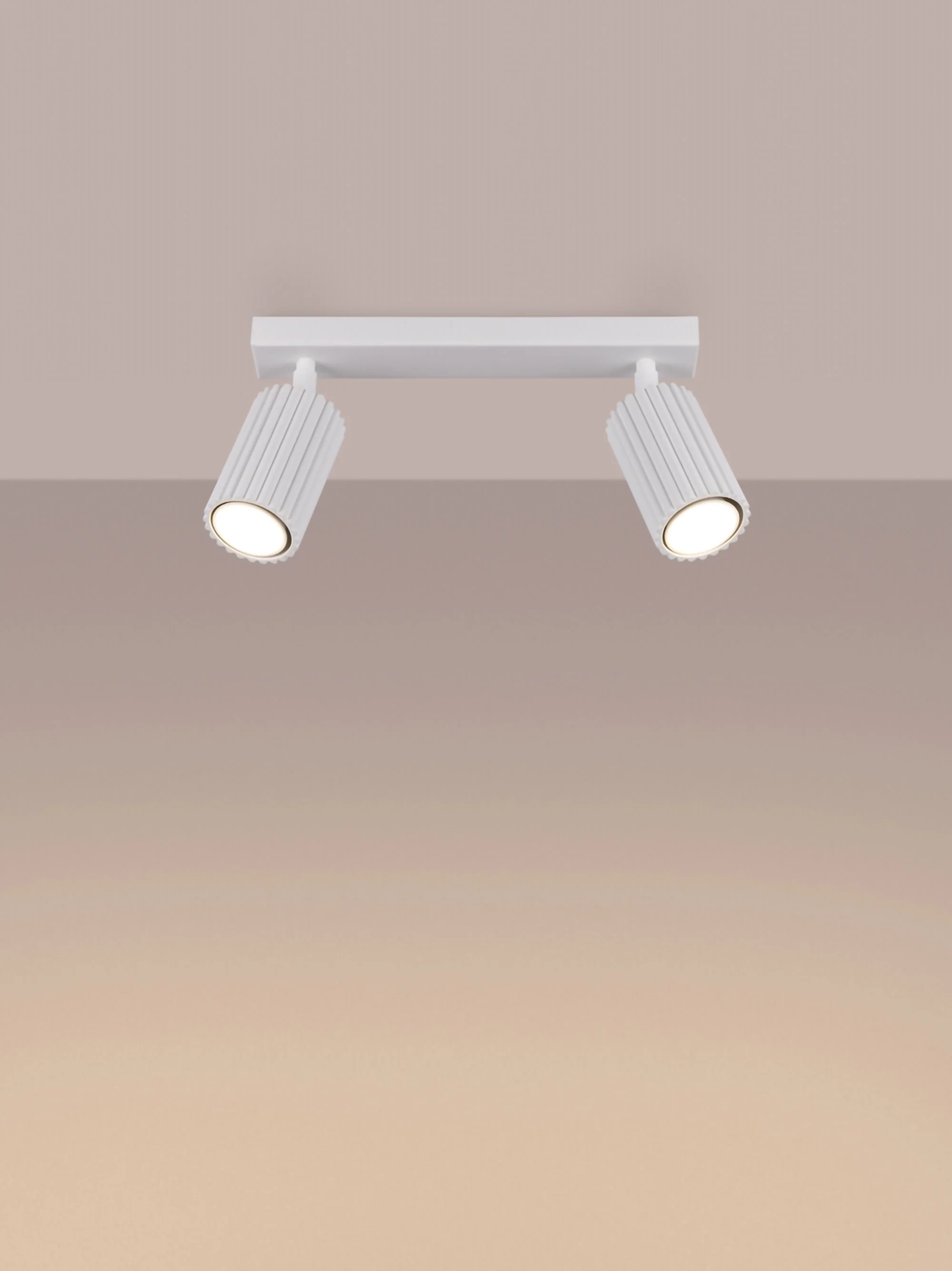 Plafondspot Gleam
