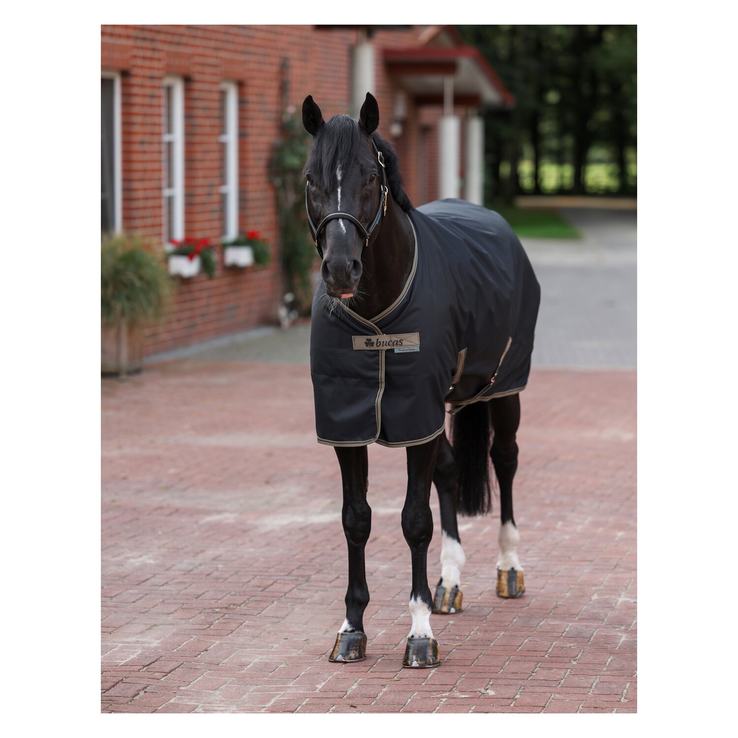 Bucas Stalldecke Freedom - schwarz/taupe