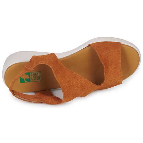 Dream in Green - OLENE - Marron