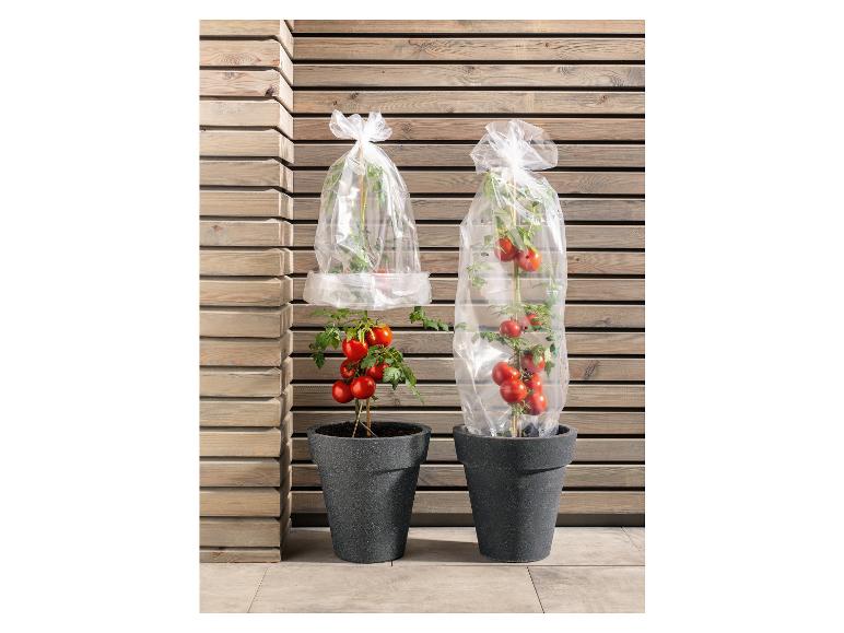 Beschermfolie voor planten en struiken