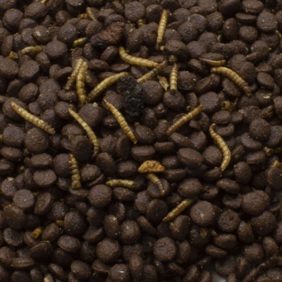 JR Garden Grainless Igel Futter 750g