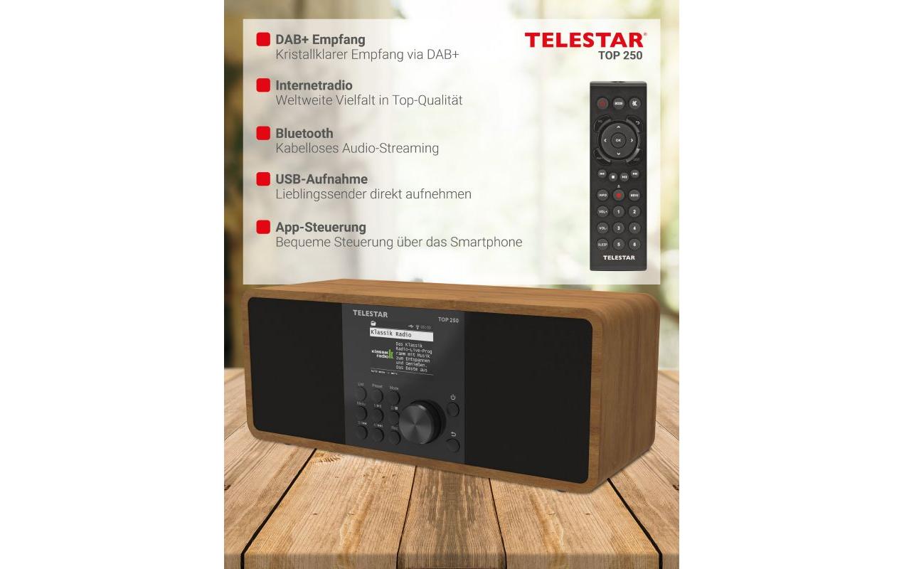 Internet Radio TOP 250 Braun/Holz<br>Stereo-Radio mit DAB+/FM und Internetradio