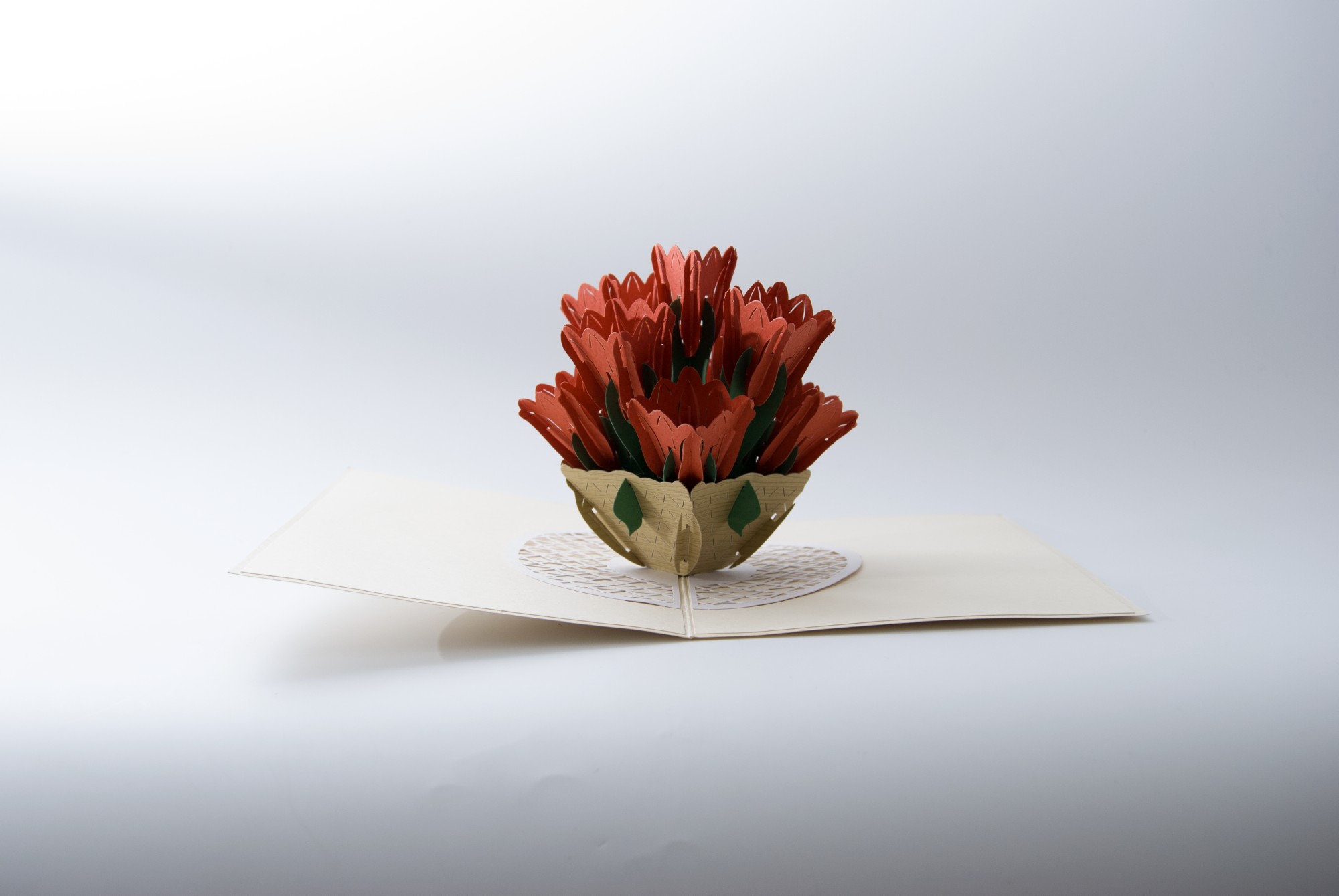 Pop-Up Karte 'Tulpe', rot, L 18 cm, B 13 cm günstig bestellen