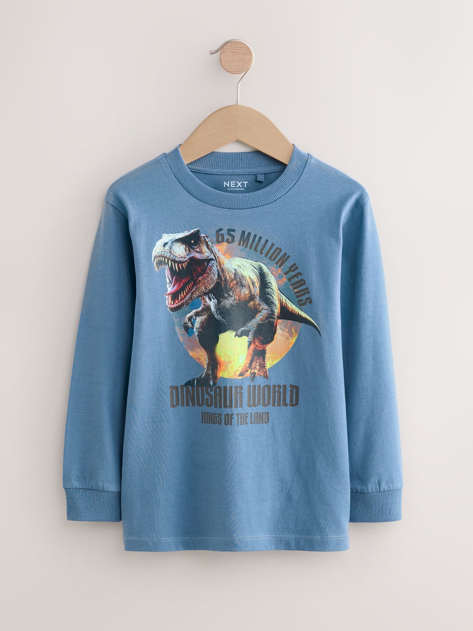 Marineblauw/blauw/ecru dinosaurus - Bedrukte T-shirts met lange mouwen verpakking van 3 (3 - 16 jr)