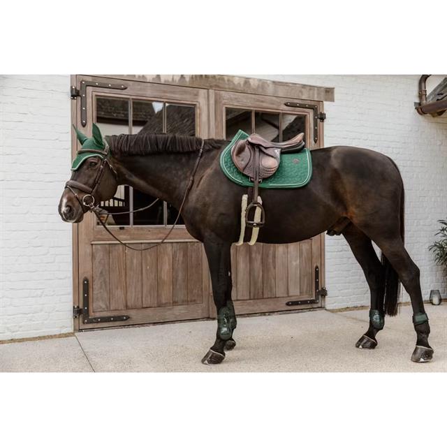 Strijklappen Kentucky Young Horse Donkergroen
