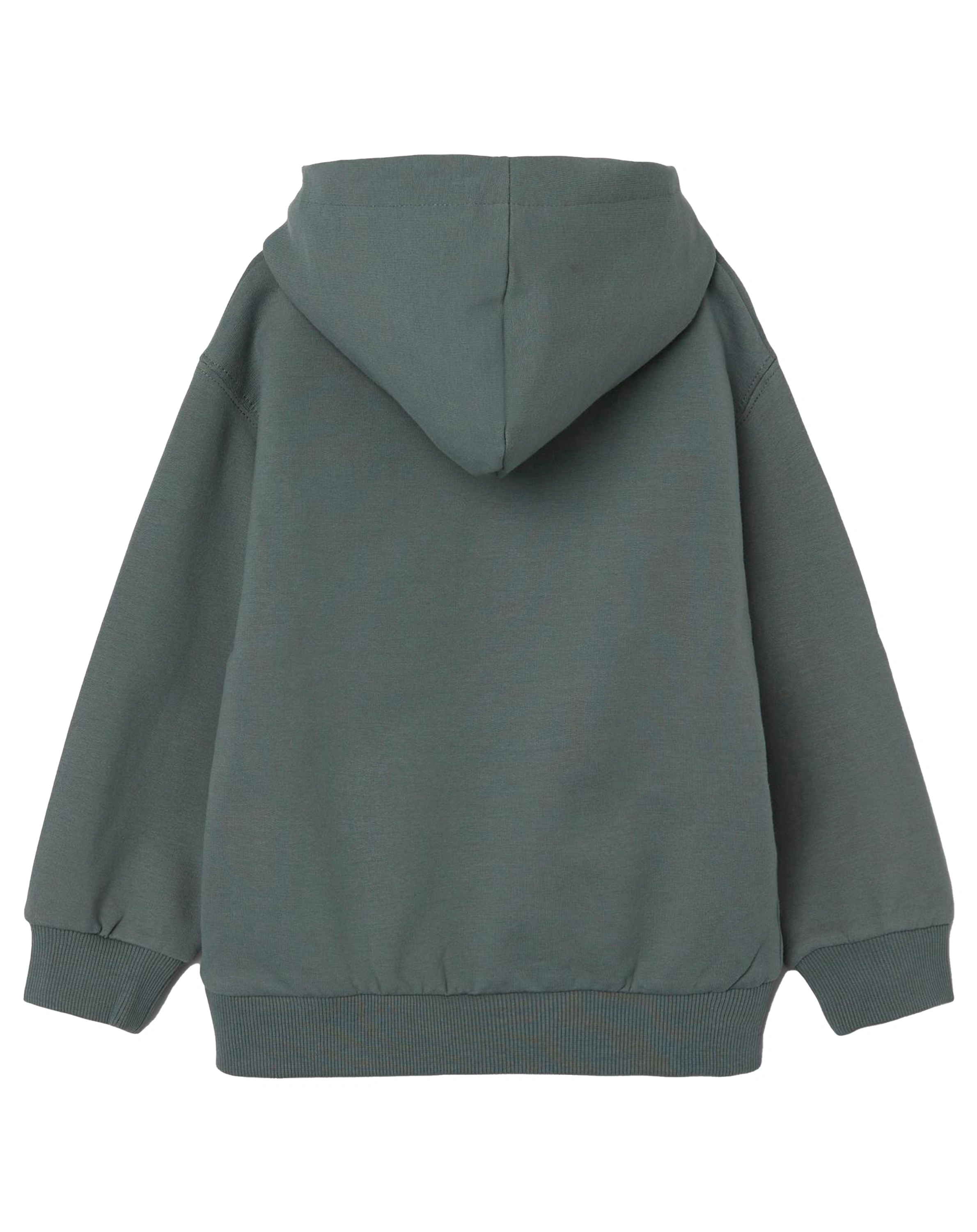 Kapuzen-Sweatshirt NMMOLAV in balsam green