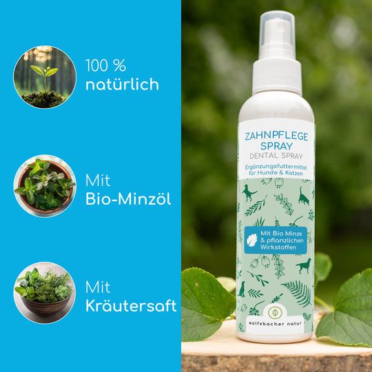 Wolfsbacher Natur Dentalspray