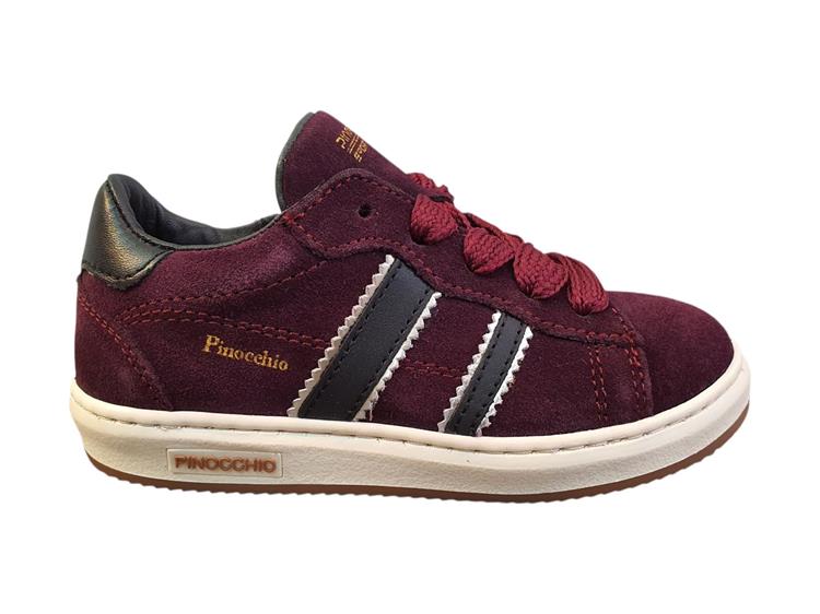 Pinocchio P1102 bordo