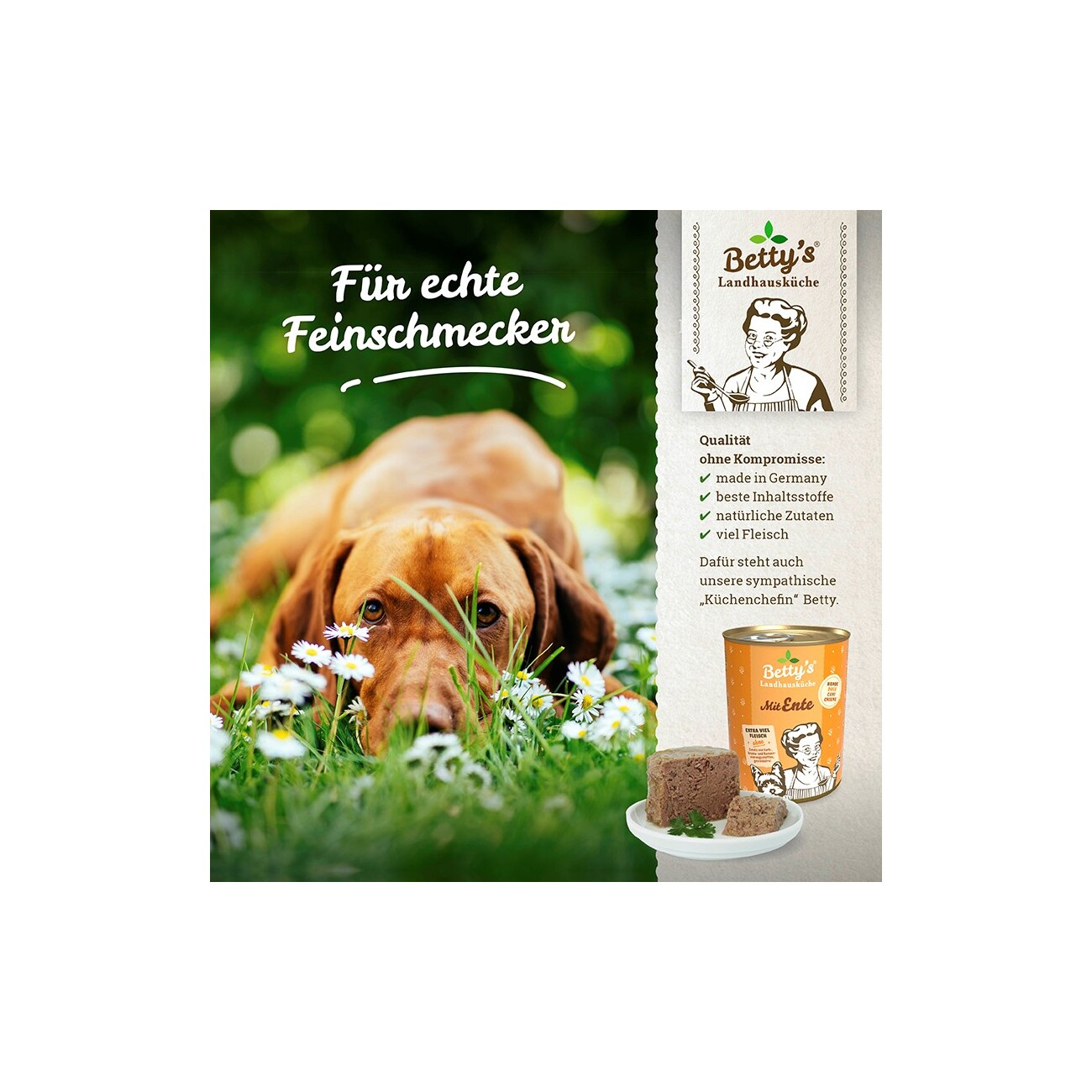 Betty's Landhausküche Fleischtopf (All Meat) 6x200 g