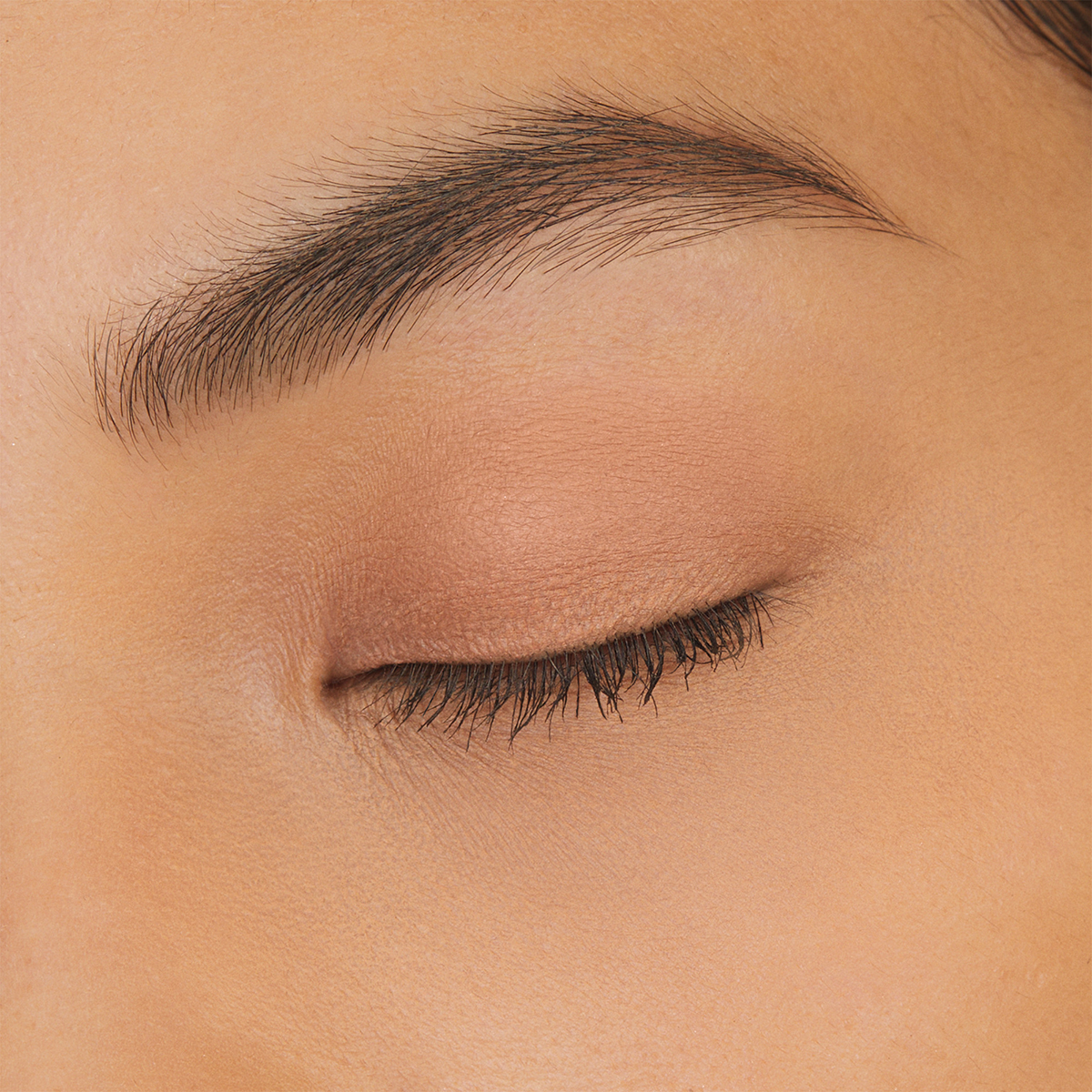Total Seduction Eyeshadow Stick ADULTS ONLY
