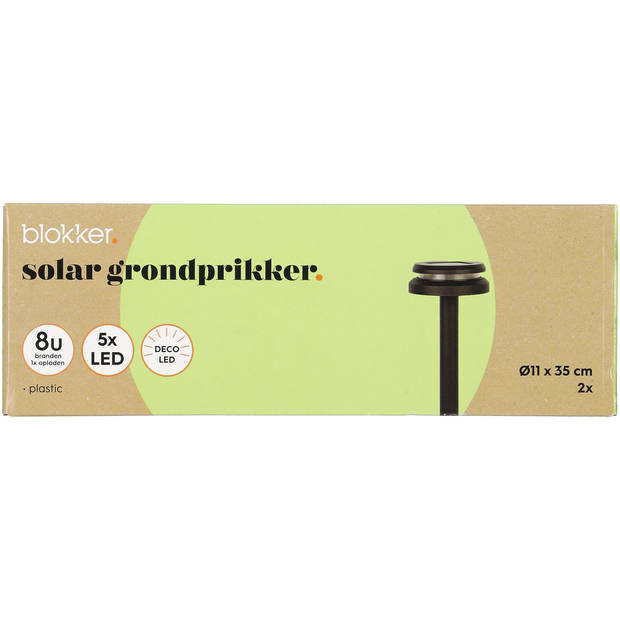 Blokker Solar grondprikker zwart s/2