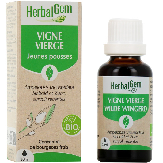 Herbalgem macérat vigne vierge bio - Gemmothérapie