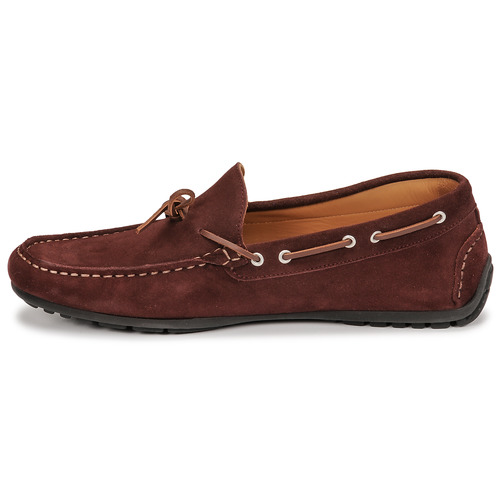 Pellet - NERE - VELOURS BORDEAUX