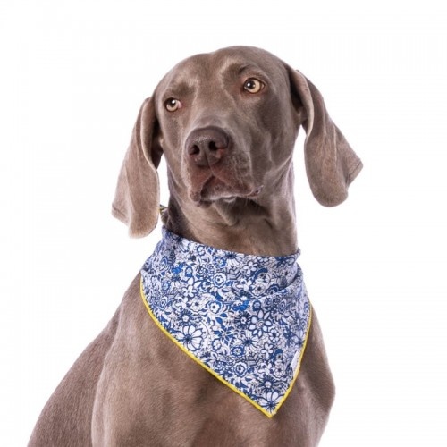 Bandana azul com estampa floral para cachorro