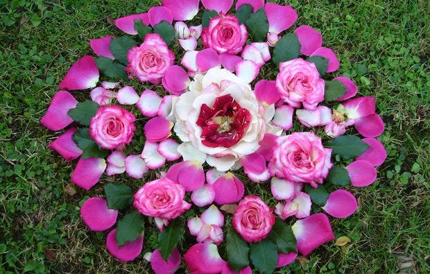 Floristikkurs in Leonberg als blumiges Geschenk