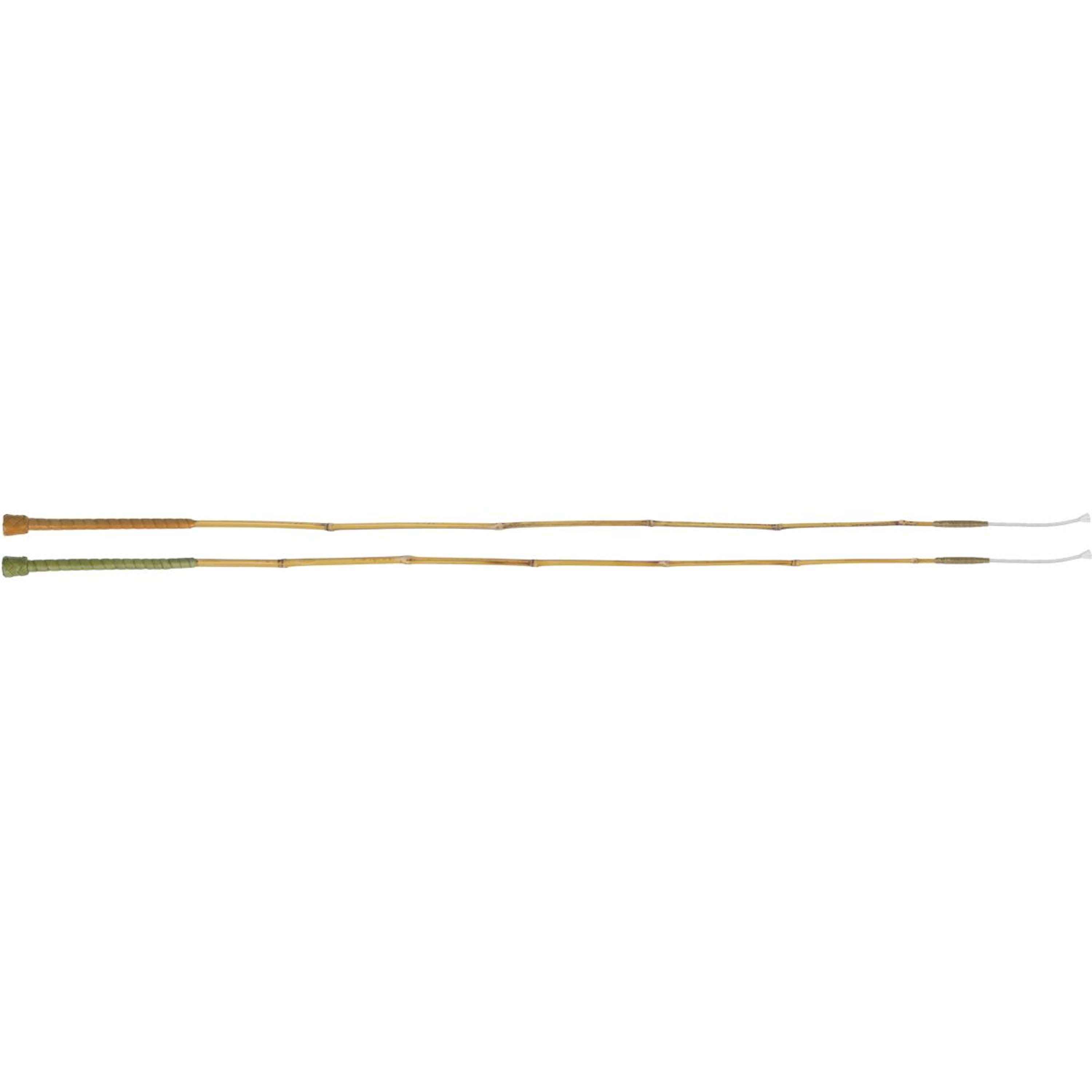 Fleck Dresuurzweep GreenLine Bruin