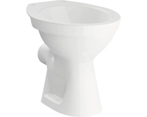 Staande toilet, diepe spoeling, met rand, glanzend wit, zonder toiletzitting 003-2209