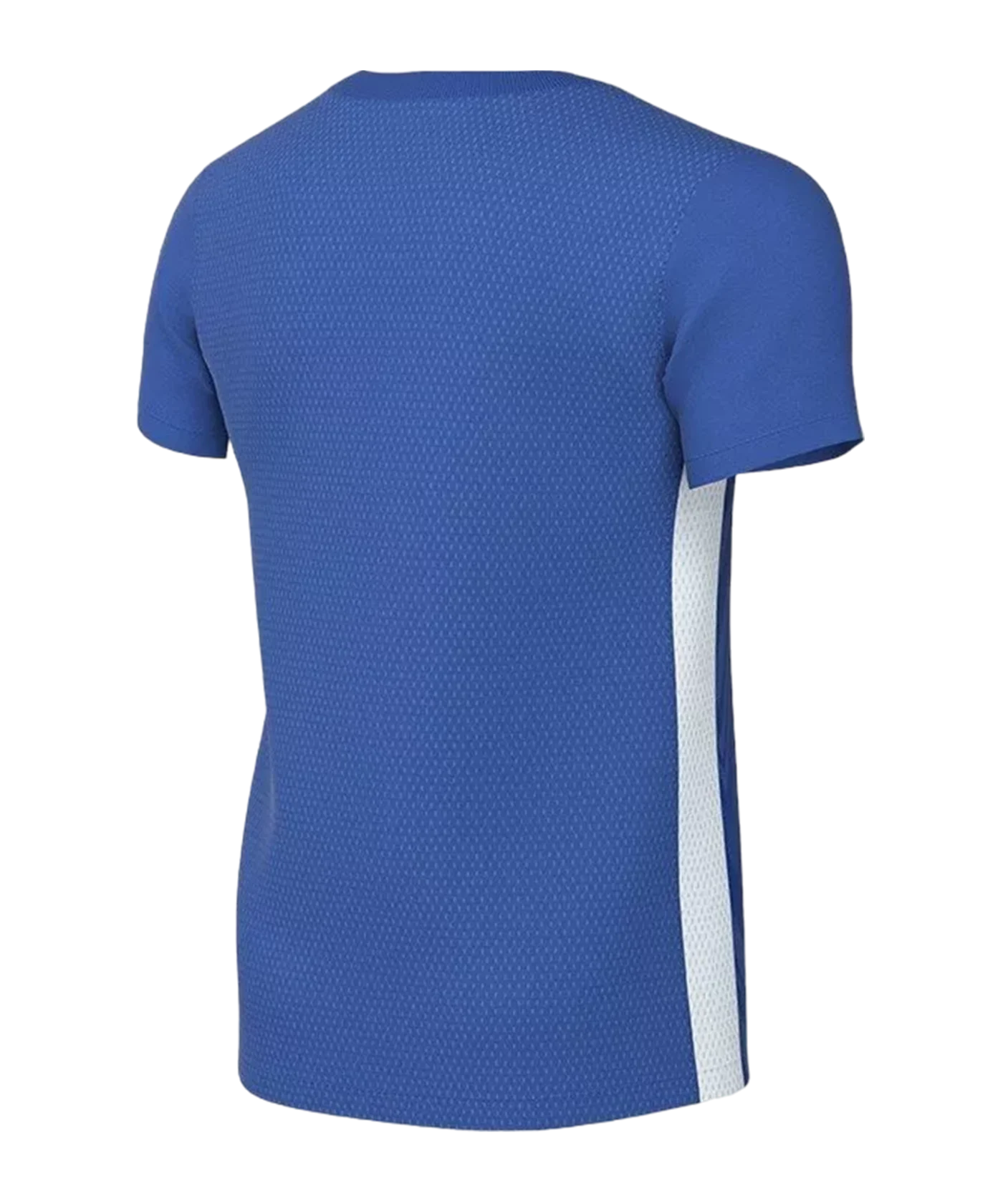 Nike Challenge V Trikot Kids Blau Weiss F463