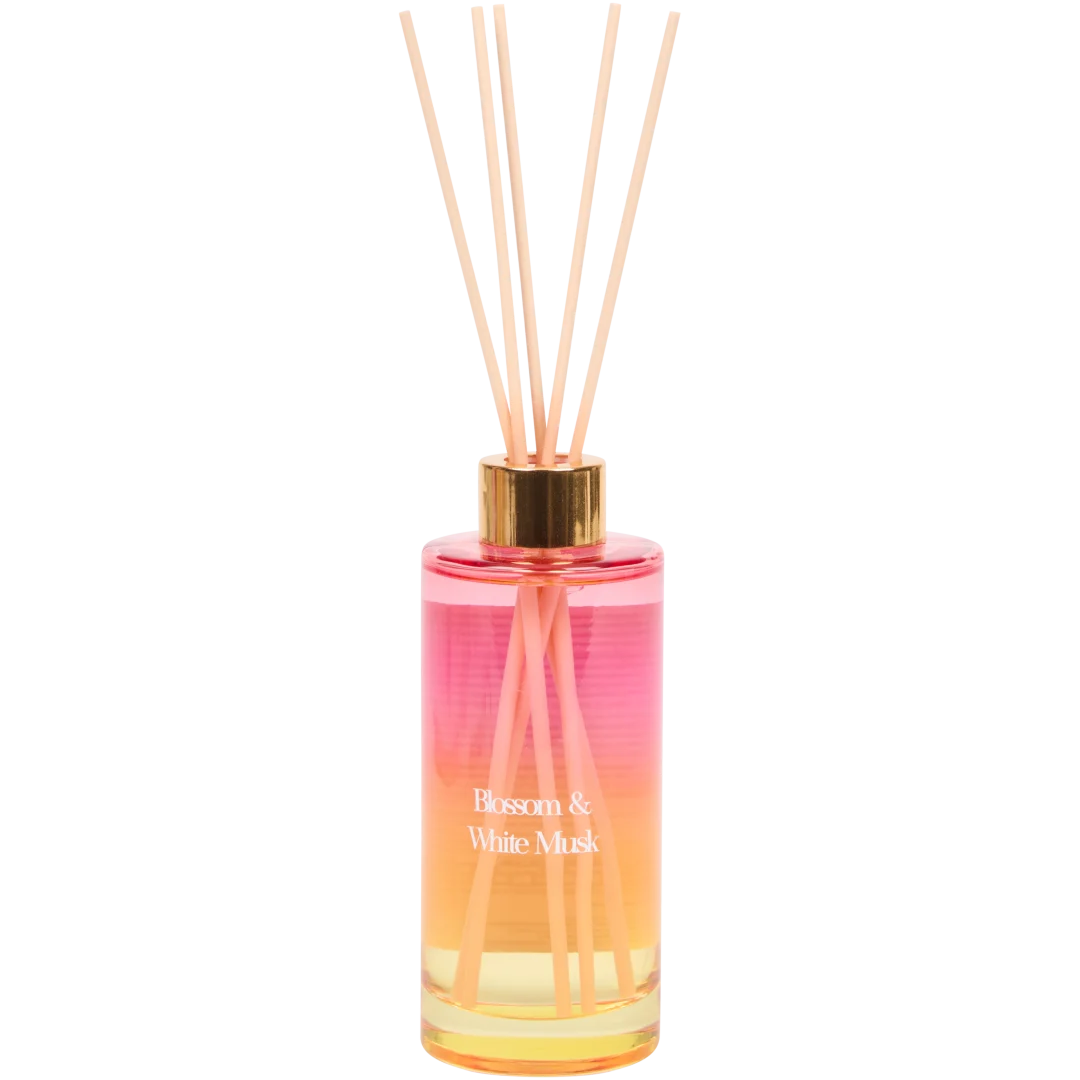 Diffuseur de parfum à bâtonnets