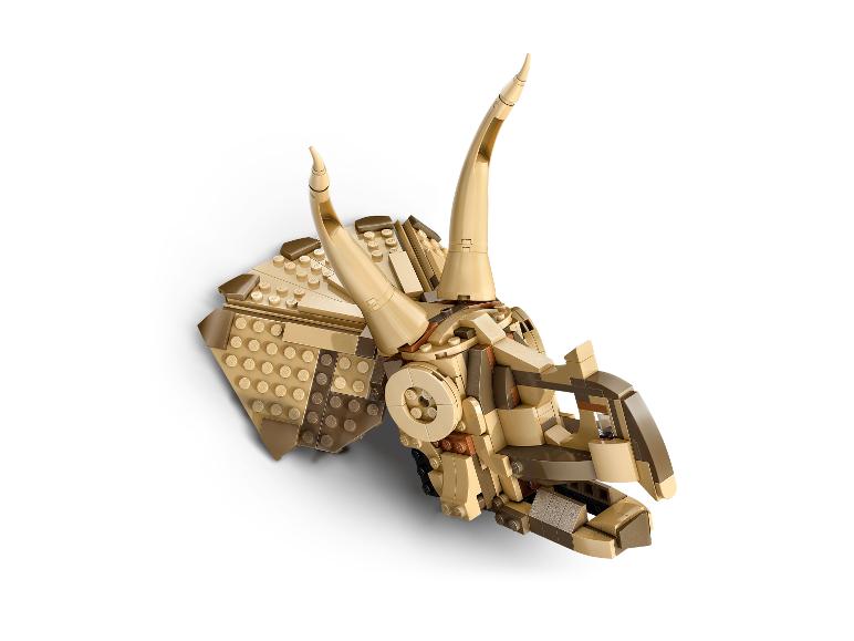 Dinosaurusfossielen: Triceratops schedel 76969