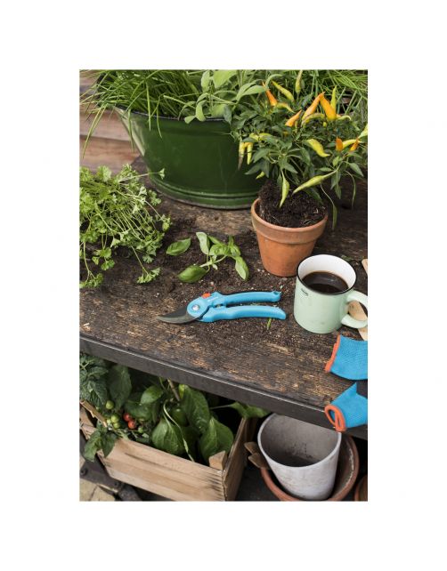 Gardena Snoeischaar Standaard B\/S-M - Snoeien -