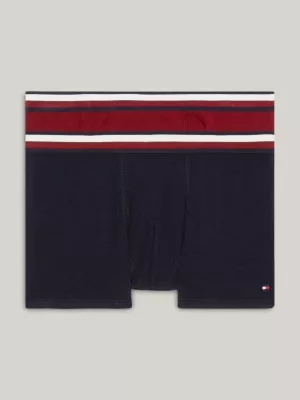 Conjunto de 2 calções de banho com bandeira Global Stripe