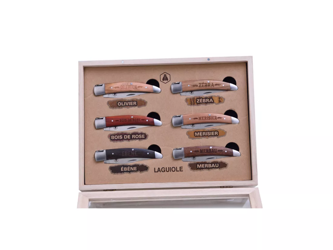 Coffret 6 couteaux pliants