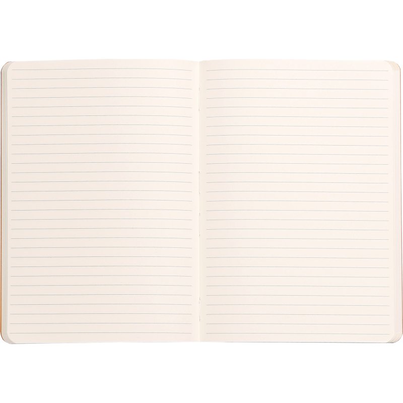 Carnet souple encollé Rhodiarama14,8 x 21 cm titane ligné - 160 pages
