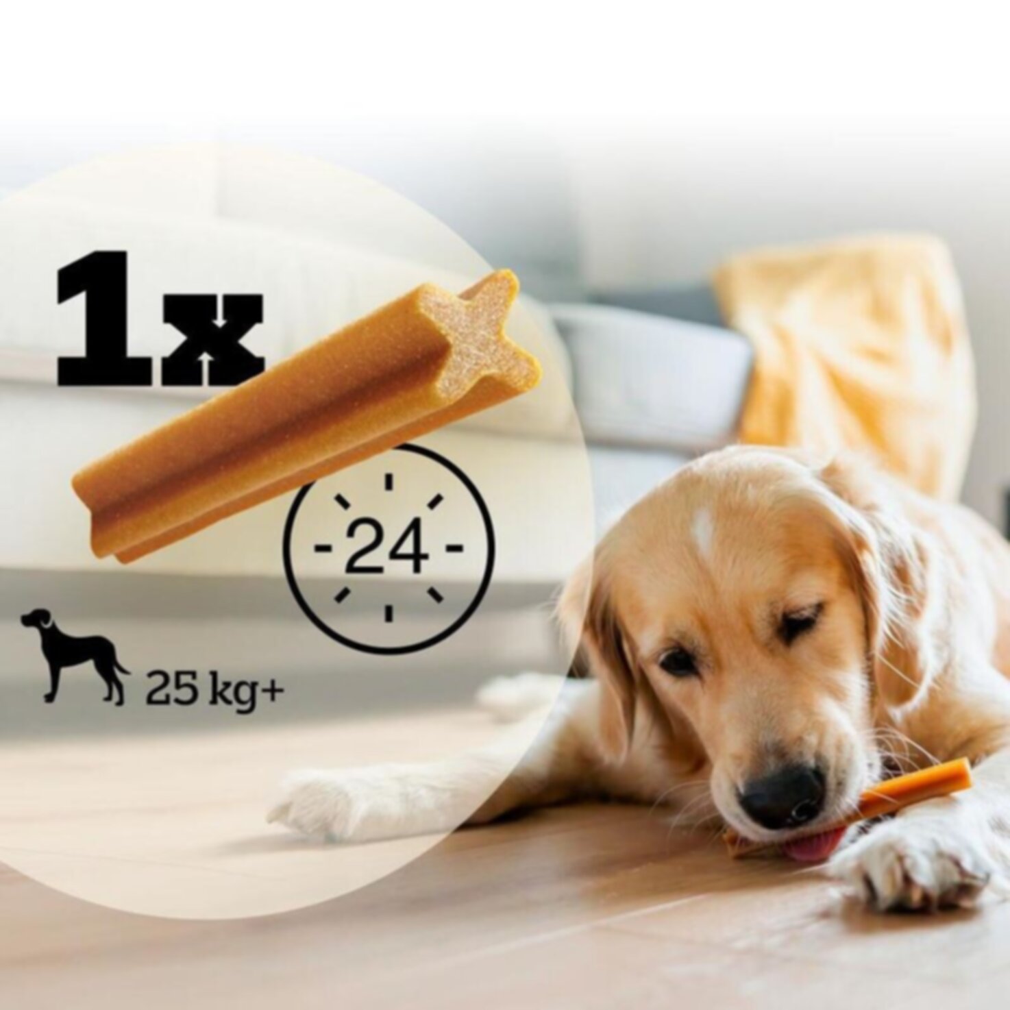 Pedigree Denta Stix Large 7 Stück