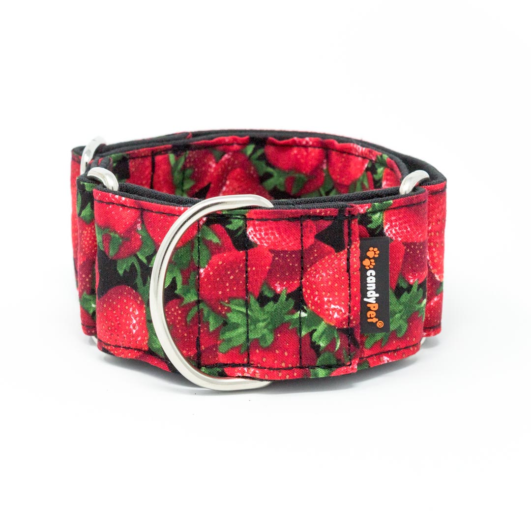 Coleira Martingale candyPet® para Cães - Estampa de Morango, EXTRA LARGA
