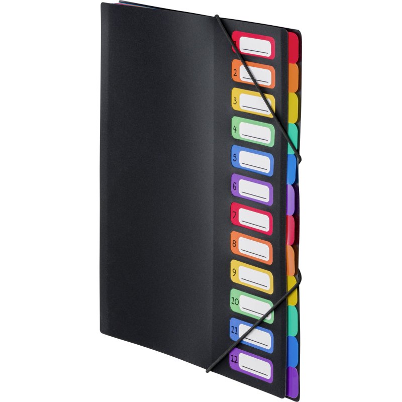 Trieur plastique Viquel Rainbow Class à soufflet 12 divisions noir
