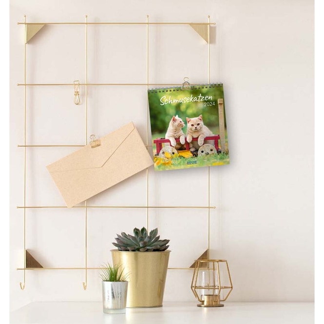 Postkartenkalender - Schmusekatzen - 2024