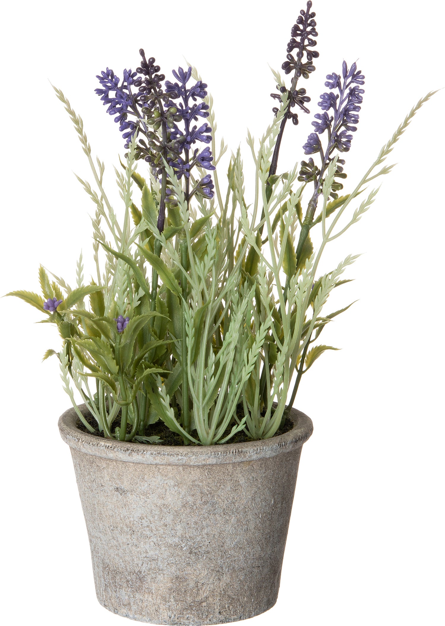 Intratuin kunstplant Blauw druifje in pot D 13 H 25 cm