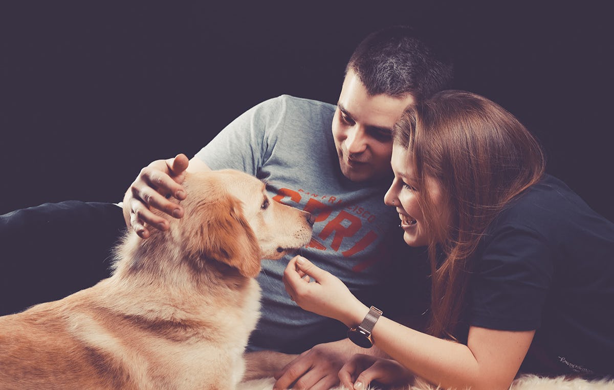 Tier Fotoshooting in Bochum als Geschenk