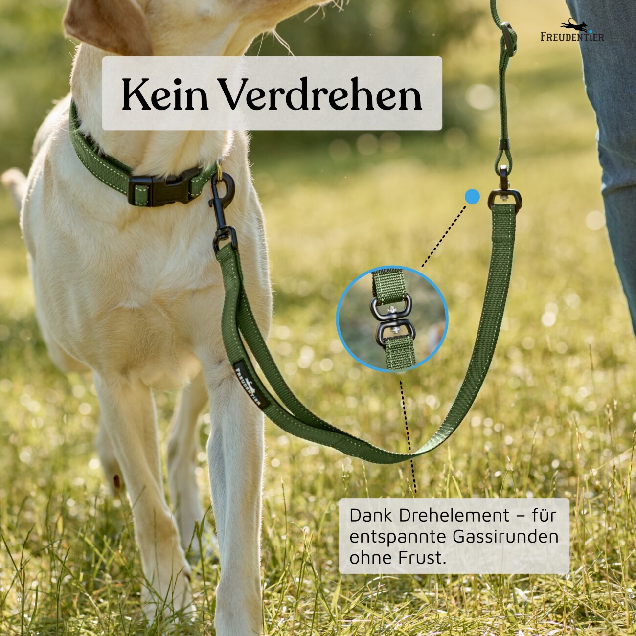 Freudentier UrbanFlow Umhängeleine, Hundeleine 3m oliv