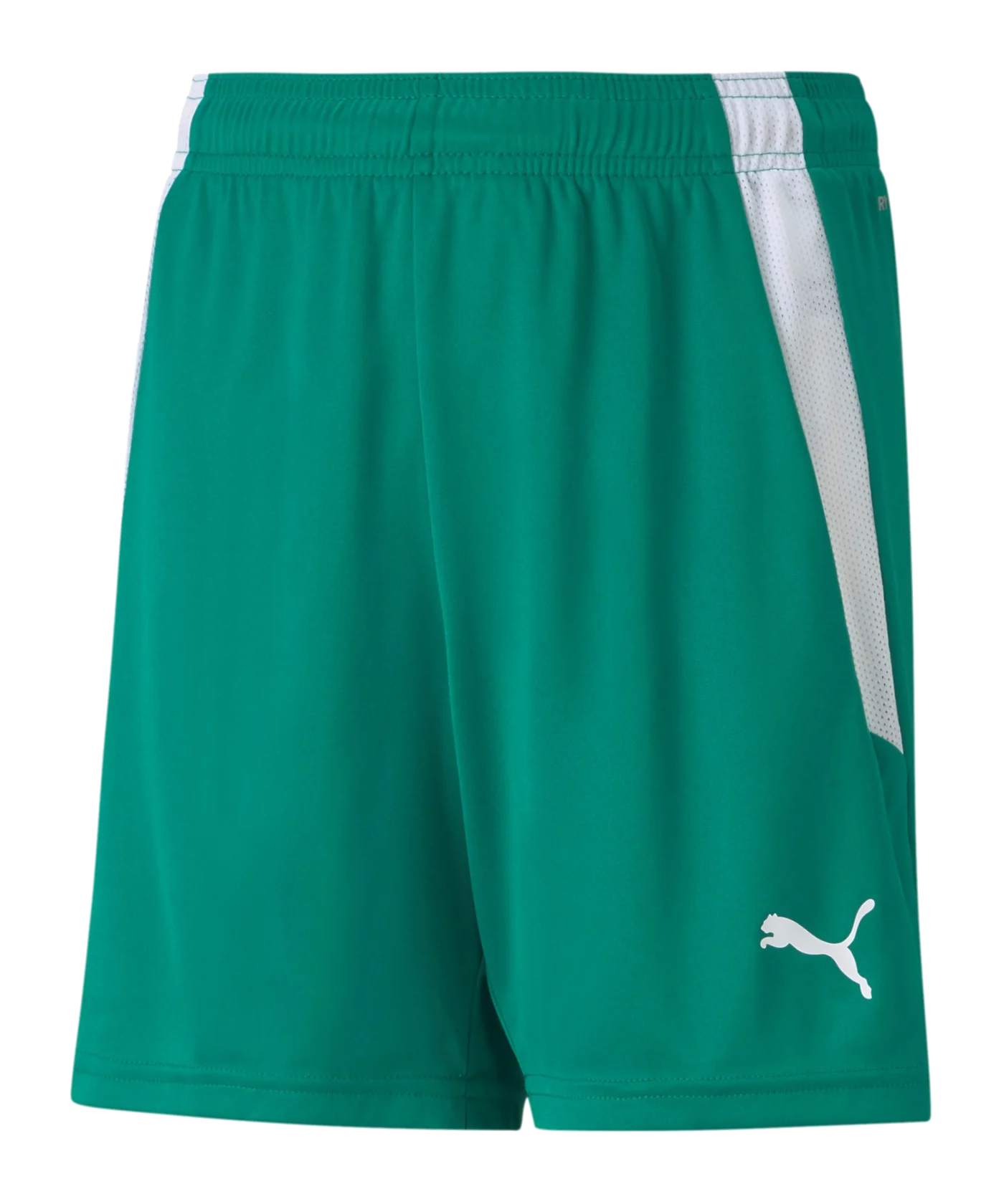 PUMA teamLIGA Short Kids Grün Weiss F05