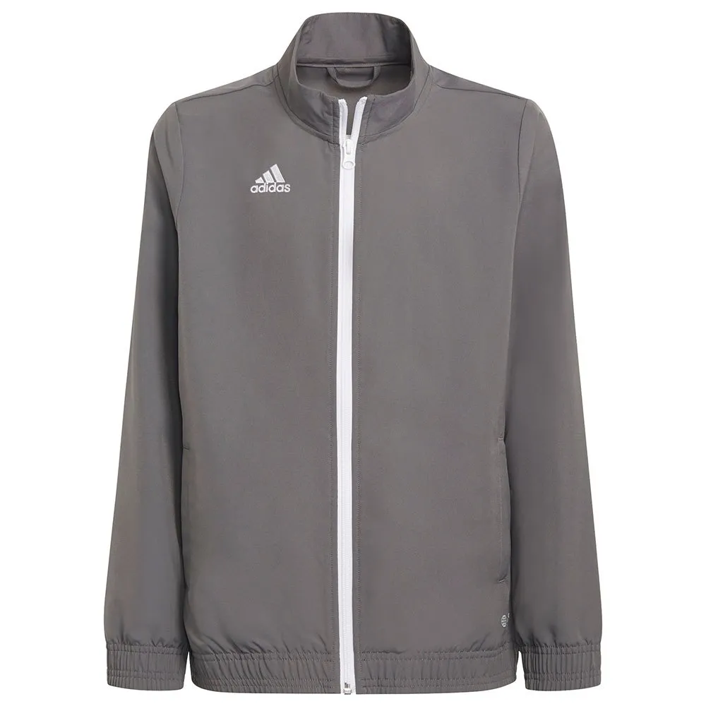 jaqueta adidas Entrada 22