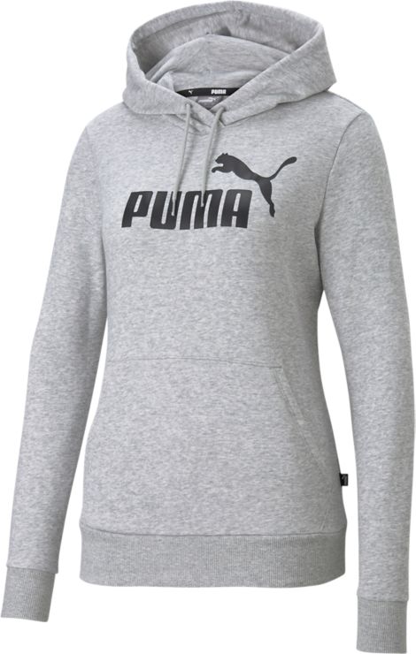 PumaEssentials Logo Hoody - grau