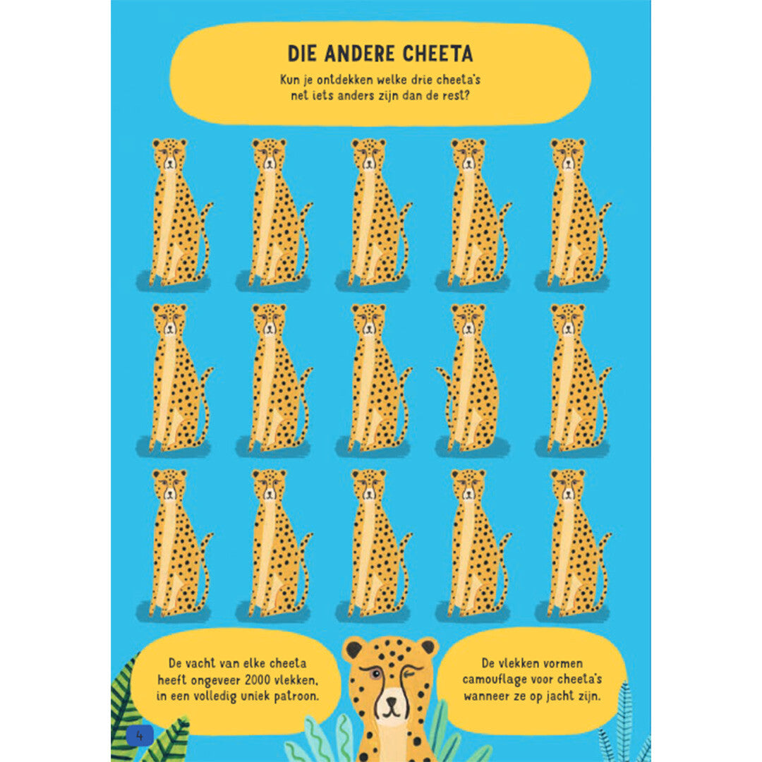 Uitgeverij fontaine het feestelijke feitjes doeboek