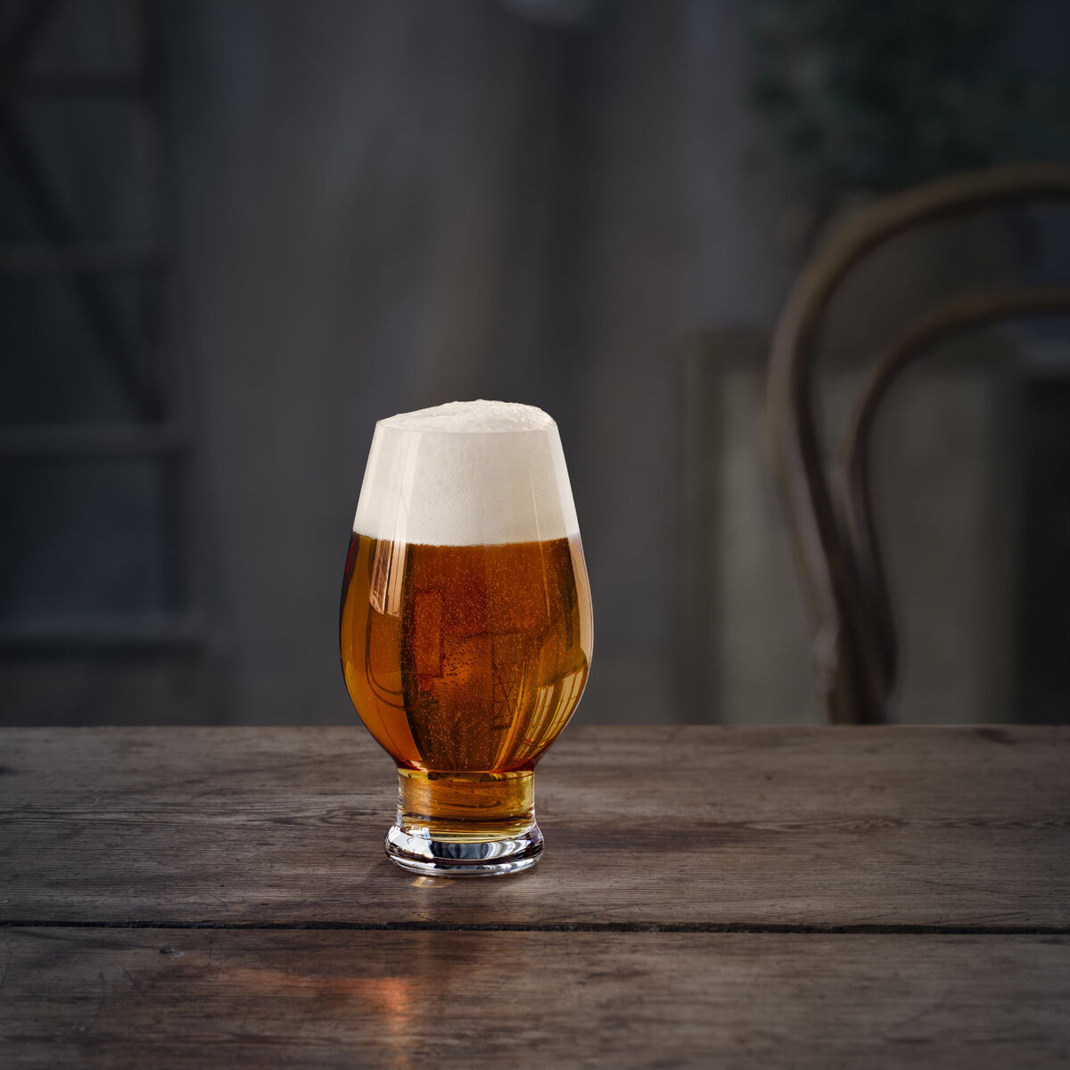 Beer India Pale Ale 4 Pk